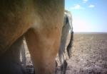 Subject ASG001d1s2