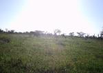Subject ASG0019ukr