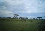 Subject ASG001nsip