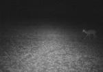 Subject ASG001p4of