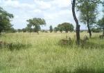 Subject ASG001pz6q