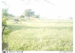 Subject ASG001qo4f