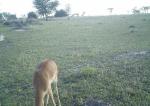 Subject ASG001riop