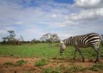 Subject ASG001x7ux