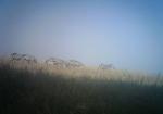 Subject ASG001wrnw