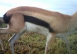 Subject ASG001vpqc
