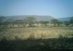 Subject ASG001vh1a