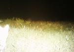 Subject ASG001v78o