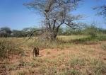 Subject ASG001v3yj