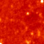 Subject ARG0003mw5