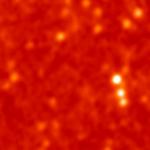 Subject ARG00036l7