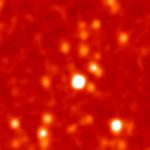 Subject ARG0002f1q