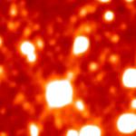 Subject ARG0001bno