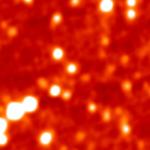 Subject ARG000189u