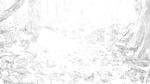 Subject ACP0002ro1