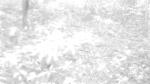 Subject ACP00041hl