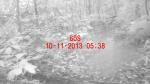 Subject ACP0004dji