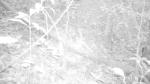 Subject ACP0004uiq