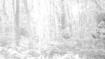 Subject ACP000dk1i
