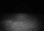 Subject ASG000299v
