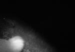 Subject ASG00070b0