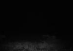 Subject ASG000767p
