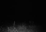 Subject ASG0007a9w