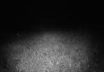 Subject ASG0007c97