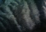Subject ASG000no8l