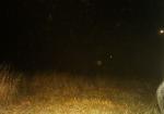 Subject ASG000o681