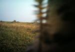Subject ASG0014f2n