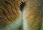 Subject ASG00180e8