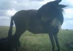 Subject ASG0014mp4