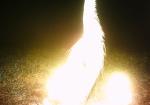 Subject ASG0014fet