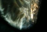 Subject ASG0018f2c