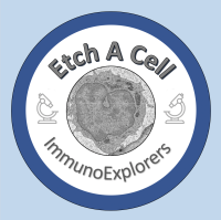 Screenshot 2023-09-12 at 16.10.47.png