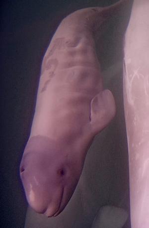 3d4c3ee7-a719-4e52-9a1e-61acb963b80f - Copy.jpeg