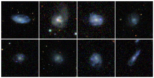 Nearby clumpy galaxies from the Sloan Digital Sky Survey