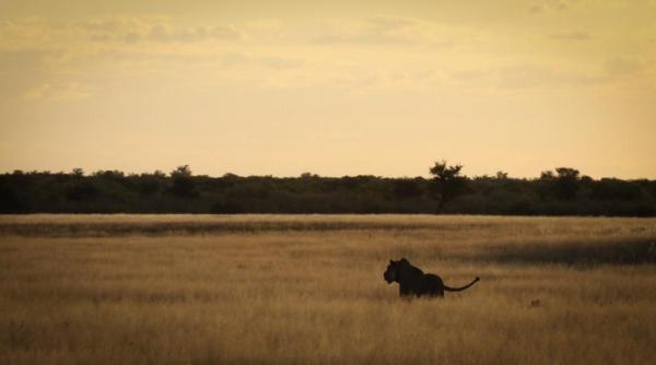 WhatsApp Image 2021-02-09 at 17.55.19 (1).jpeg