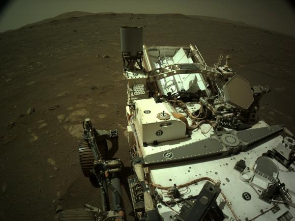 Spiders on Mars – Daily Zooniverse