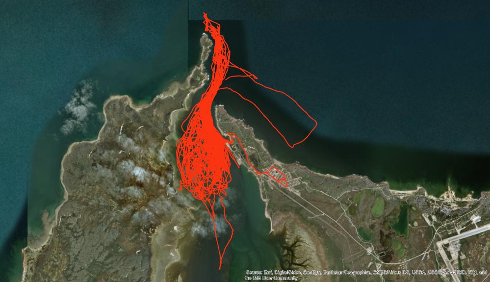 2_2018r tracklines.jpg