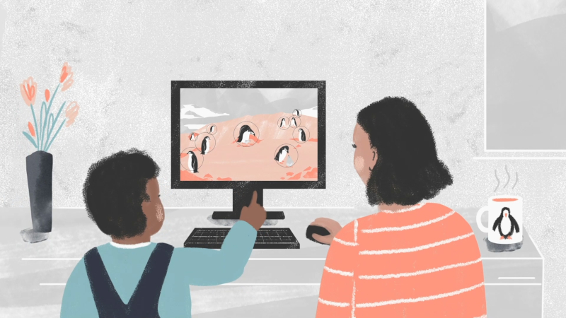 Education | Penguin Watch | Zooniverse - People-powered research