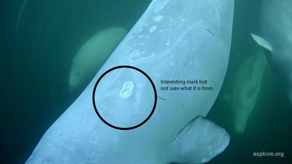 028909821 interesting.jpg