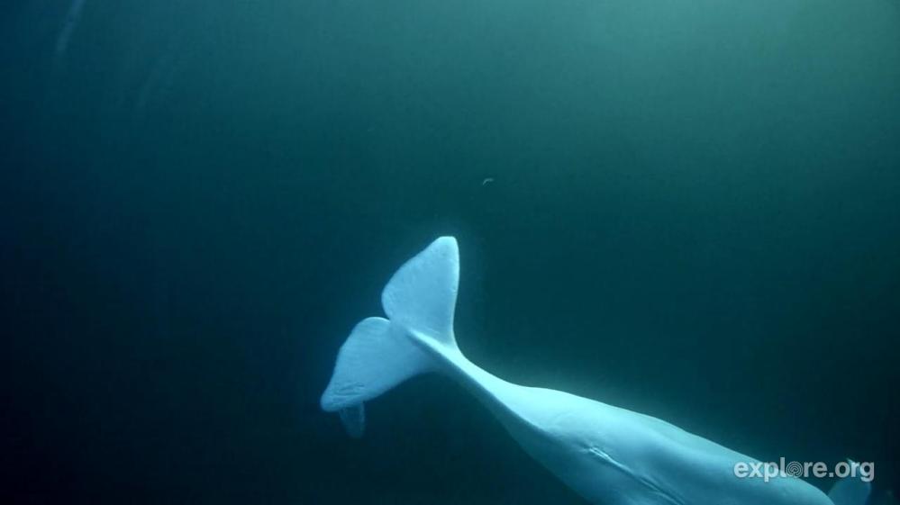 029909165 20160731 602p male.jpg