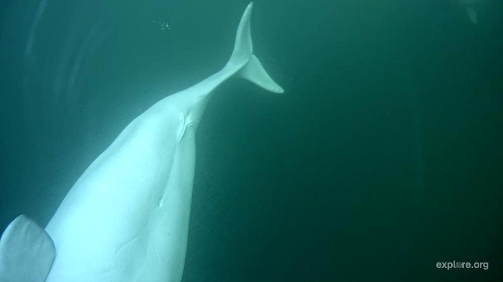 028909749 Female.jpg