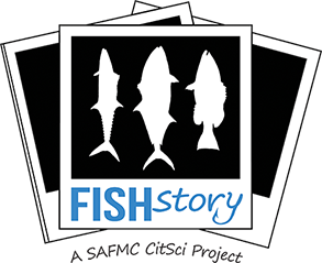 FISHstory Logo Final_backless_smalle.png