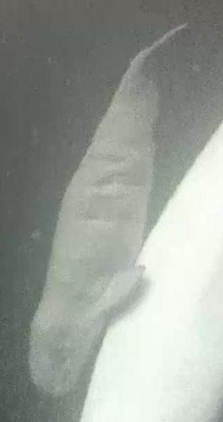 036667251_03 - Copy.jpeg