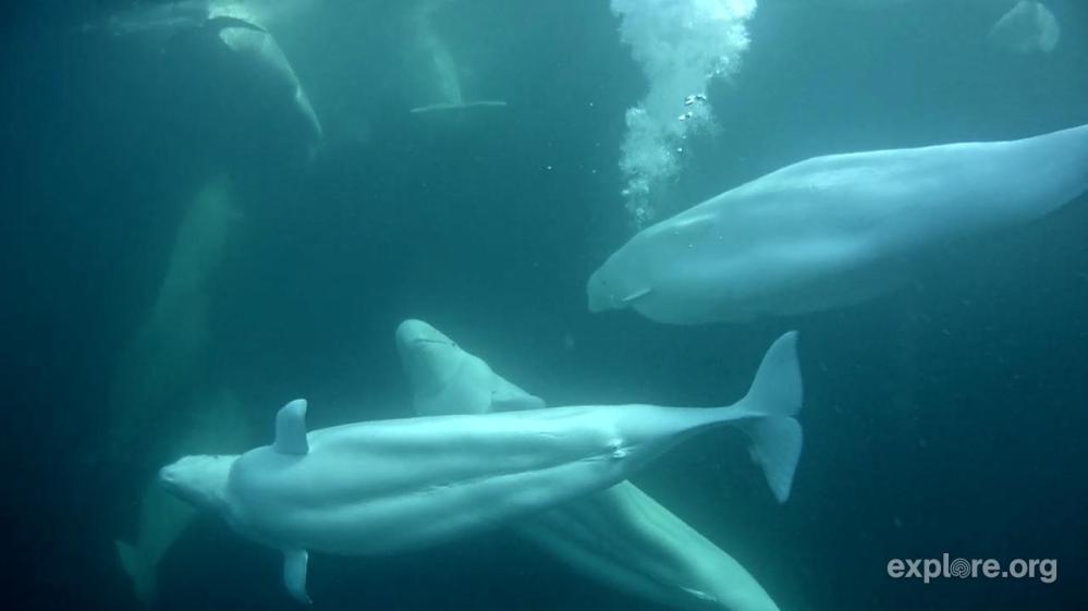 Subject 9661332 female and male.jpeg