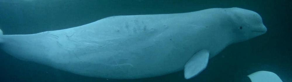 028985477 - Copy.jpg