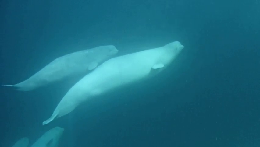 08022016_052126_062126_0166 - Copy.png